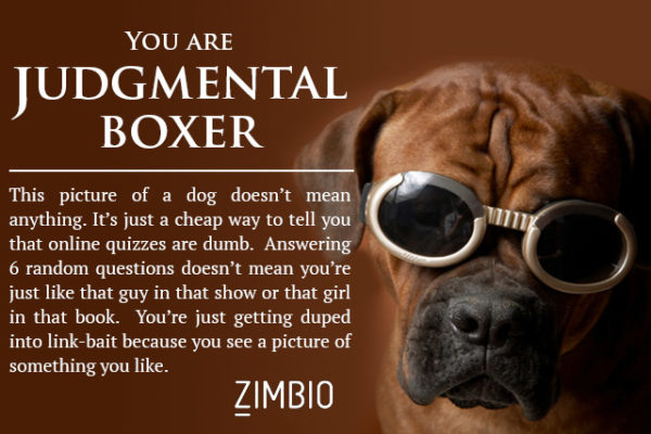 judgmentalboxer
